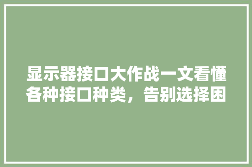 显示器接口大作战一文看懂各种接口种类，告别选择困难症！ 必应SEO