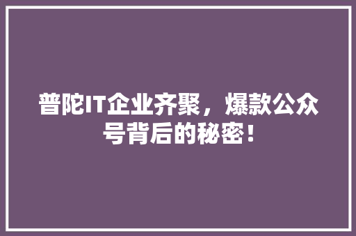 普陀IT企业齐聚，爆款公众号背后的秘密！ 搜狗SEO