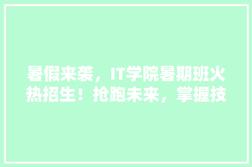 暑假来袭，IT学院暑期班火热招生！抢跑未来，掌握技能，这个暑假你值得拥有！ 百度SEO
