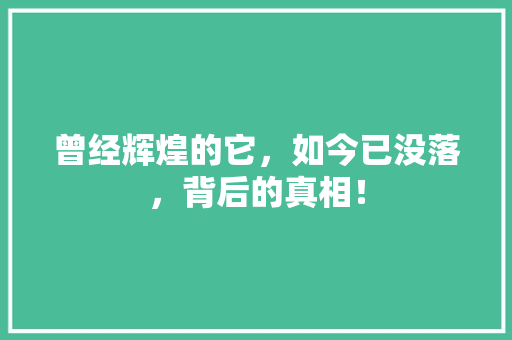 曾经辉煌的它，如今已没落，背后的真相！ 搜狗SEO