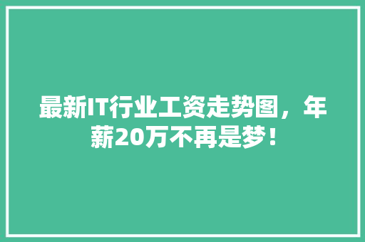 最新IT行业工资走势图，年薪20万不再是梦！ 神马SEO
