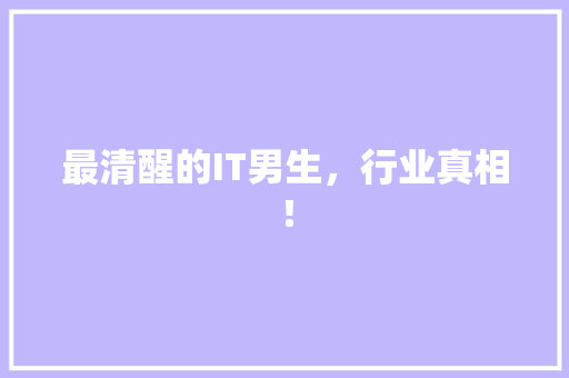 最清醒的IT男生，行业真相！ 神马SEO