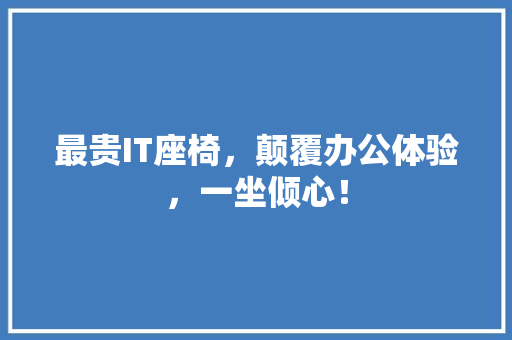 最贵IT座椅，颠覆办公体验，一坐倾心！ GoogleSEO