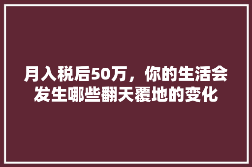 月入税后50万，你的生活会发生哪些翻天覆地的变化 百度SEO