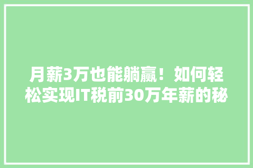 月薪3万也能躺赢！如何轻松实现IT税前30万年薪的秘密 GoogleSEO