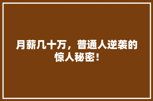 月薪几十万，普通人逆袭的惊人秘密！ 必应SEO