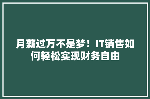 月薪过万不是梦！IT销售如何轻松实现财务自由 必应SEO