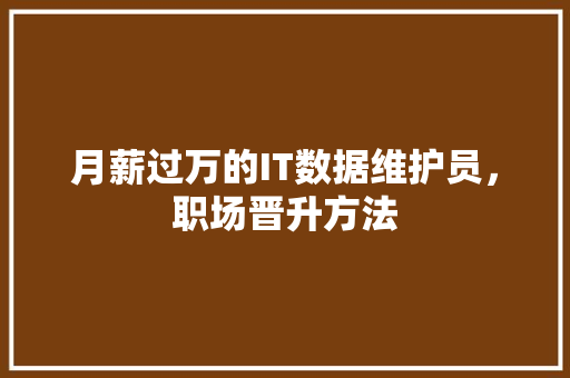 月薪过万的IT数据维护员，职场晋升方法 必应SEO