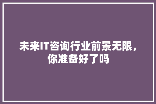 未来IT咨询行业前景无限，你准备好了吗 百度SEO