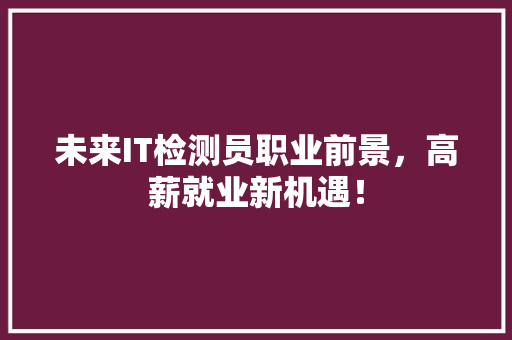 未来IT检测员职业前景，高薪就业新机遇！ 必应SEO