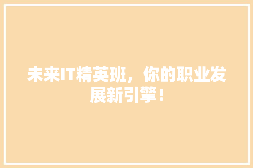 未来IT精英班，你的职业发展新引擎！ 必应SEO