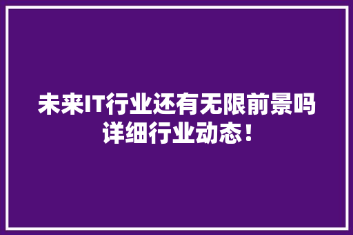未来IT行业还有无限前景吗详细行业动态！ GoogleSEO