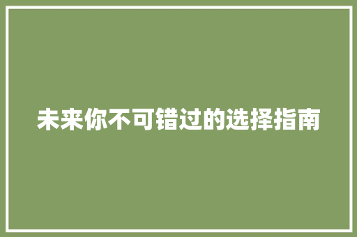 未来你不可错过的选择指南 百度SEO