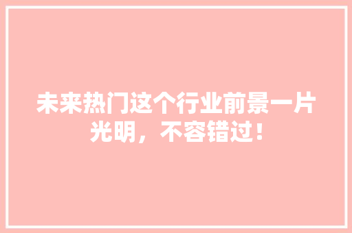未来热门这个行业前景一片光明，不容错过！ 神马SEO
