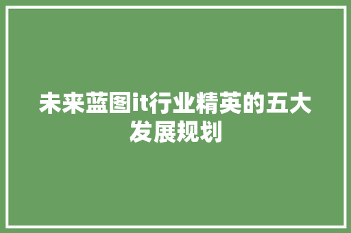 未来蓝图it行业精英的五大发展规划