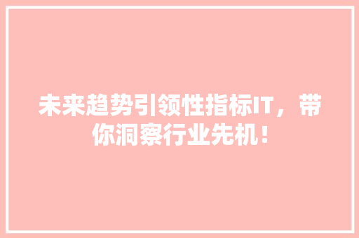 未来趋势引领性指标IT，带你洞察行业先机！