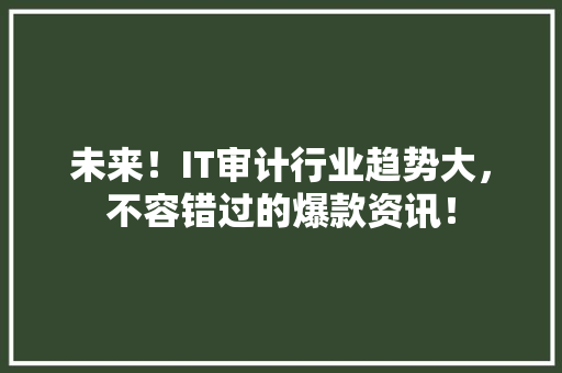 未来！IT审计行业趋势大，不容错过的爆款资讯！ 必应SEO