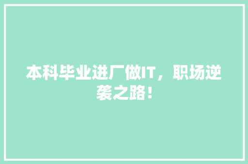 本科毕业进厂做IT，职场逆袭之路！ 必应SEO