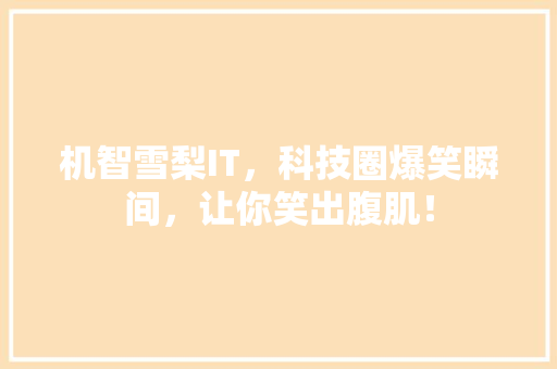 机智雪梨IT，科技圈爆笑瞬间，让你笑出腹肌！ 搜狗SEO