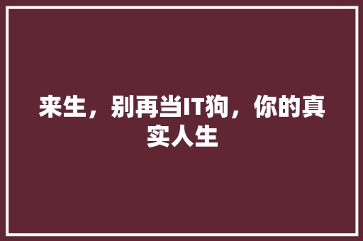 来生，别再当IT狗，你的真实人生 百度SEO