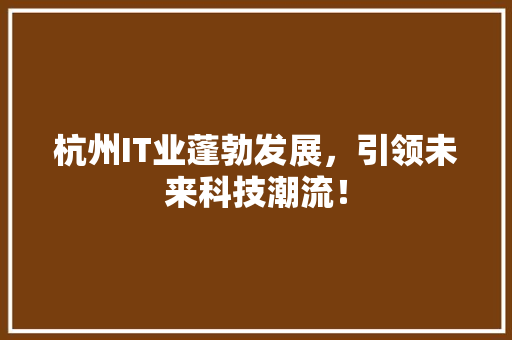 杭州IT业蓬勃发展，引领未来科技潮流！ GoogleSEO