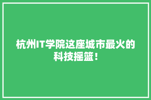 杭州IT学院这座城市最火的科技摇篮！ 必应SEO