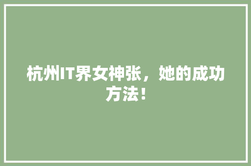 杭州IT界女神张，她的成功方法！ 百度SEO