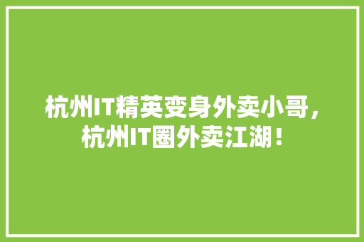 杭州IT精英变身外卖小哥，杭州IT圈外卖江湖！ 神马SEO