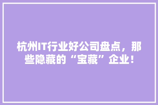 杭州IT行业好公司盘点，那些隐藏的“宝藏”企业！ 神马SEO