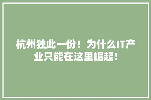 杭州独此一份！为什么IT产业只能在这里崛起！ GoogleSEO
