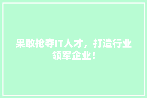 果敢抢夺IT人才，打造行业领军企业！ 百度SEO