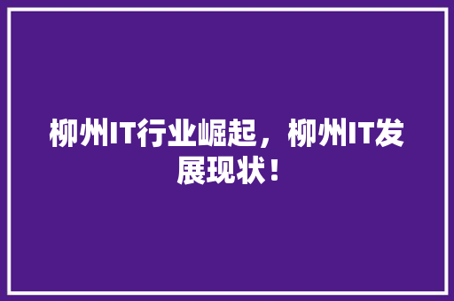 柳州IT行业崛起，柳州IT发展现状！ 必应SEO