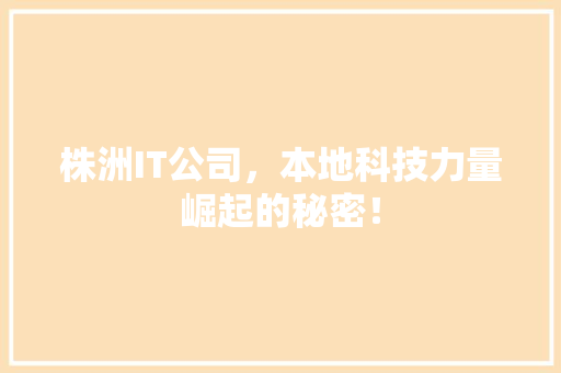 株洲IT公司，本地科技力量崛起的秘密！ 必应SEO
