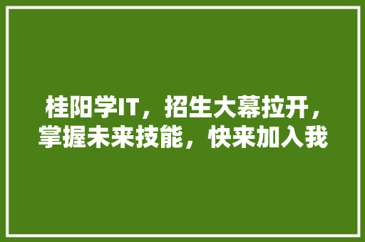 桂阳学IT，招生大幕拉开，掌握未来技能，快来加入我们！ 百度SEO