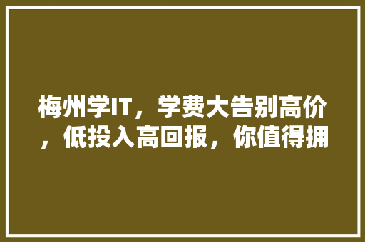 梅州学IT，学费大告别高价，低投入高回报，你值得拥有！ 神马SEO