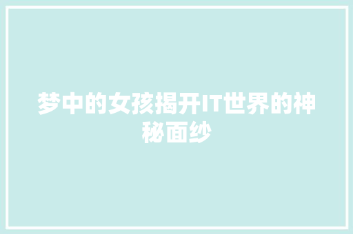 梦中的女孩揭开IT世界的神秘面纱 百度SEO