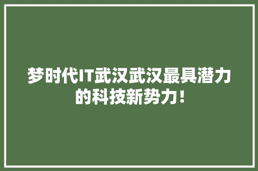 梦时代IT武汉武汉最具潜力的科技新势力！ 百度SEO