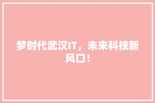 梦时代武汉IT，未来科技新风口！ 搜狗SEO