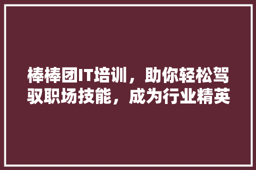 棒棒团IT培训，助你轻松驾驭职场技能，成为行业精英！ 必应SEO
