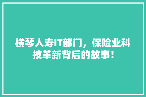 横琴人寿IT部门，保险业科技革新背后的故事！ GoogleSEO