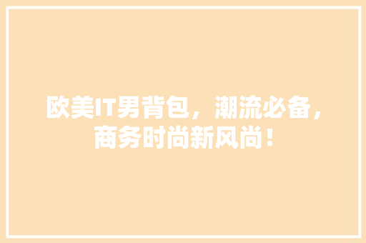 欧美IT男背包，潮流必备，商务时尚新风尚！ 神马SEO