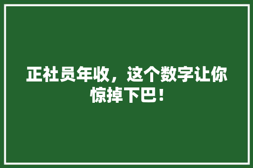正社员年收，这个数字让你惊掉下巴！ 百度SEO