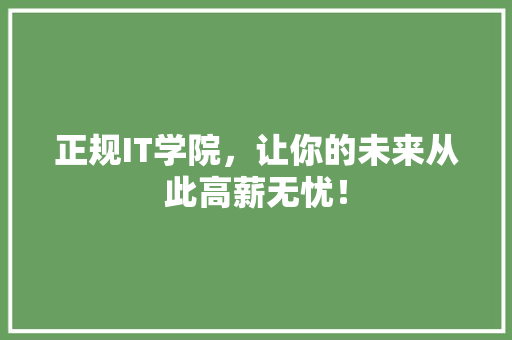 正规IT学院，让你的未来从此高薪无忧！ 百度SEO