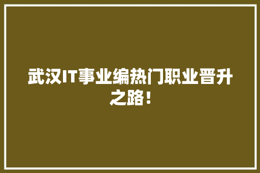 武汉IT事业编热门职业晋升之路！ 必应SEO