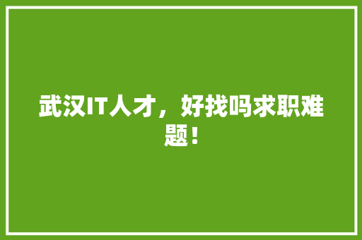 武汉IT人才，好找吗求职难题！ 百度SEO
