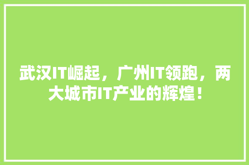 武汉IT崛起，广州IT领跑，两大城市IT产业的辉煌！ 搜狗SEO
