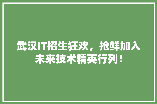 武汉IT招生狂欢，抢鲜加入未来技术精英行列！ 必应SEO