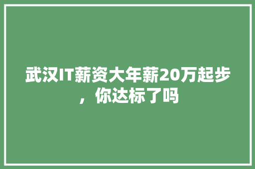 武汉IT薪资大年薪20万起步，你达标了吗 百度SEO