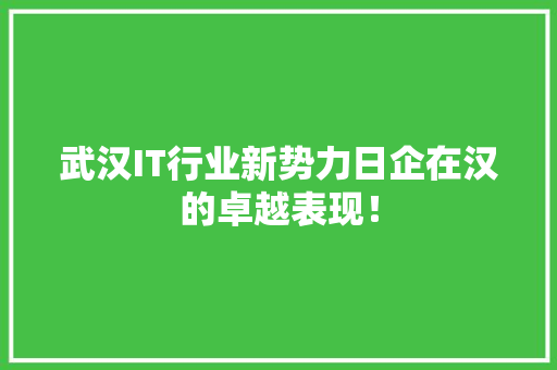 武汉IT行业新势力日企在汉的卓越表现！ 必应SEO