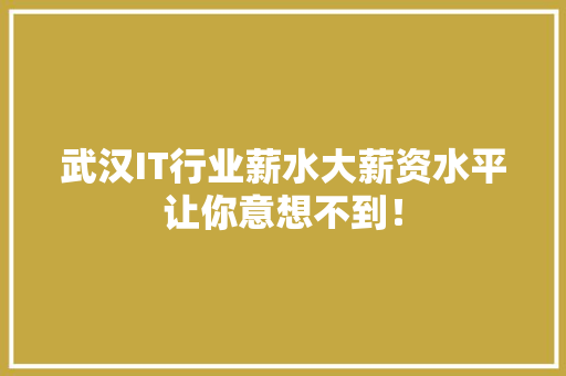 武汉IT行业薪水大薪资水平让你意想不到！ 神马SEO